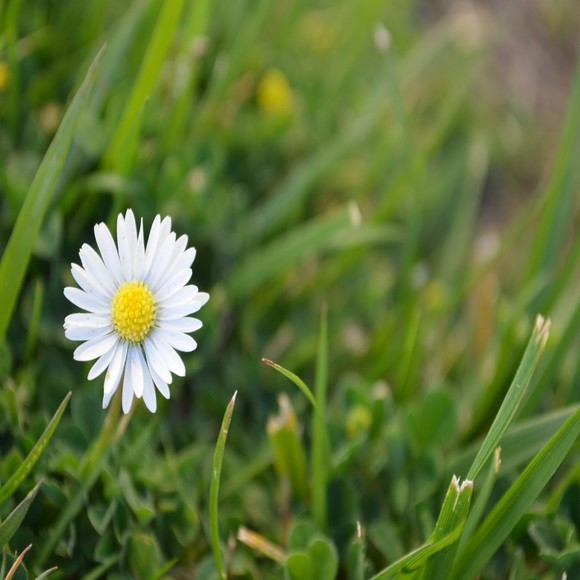 Meet your Posher, Maria - Picture 1 of 1